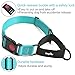 haapaw 2 Packs Martingale Dog Collar with Quick Release Buckle Reflective Dog Training Collars for Small Medium Large Dogs (Collar+Leash, L Neck 17″-21″, Turquoise+Turquoise, 2 Packs)thumb 2