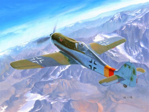 Hobby Boss Focke-Wulf FW 190D-9 Airplane Model Building Kit