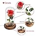 Emyln Beauty and The Beast Rose, Enchanted Rose Flower with 10 LED USB Lights in Glass Dome on a Wooden Base for Lover, Weddings, Anniversaries, (Red) 