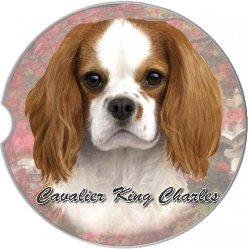 E&S Pets Cavalier Coaster, 3
