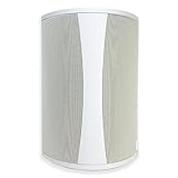 Definitive Technology AW6500 Outdoor Speaker - 6.5-inch Woofer, 200 Watts, Built for Extreme Weather, Single, White