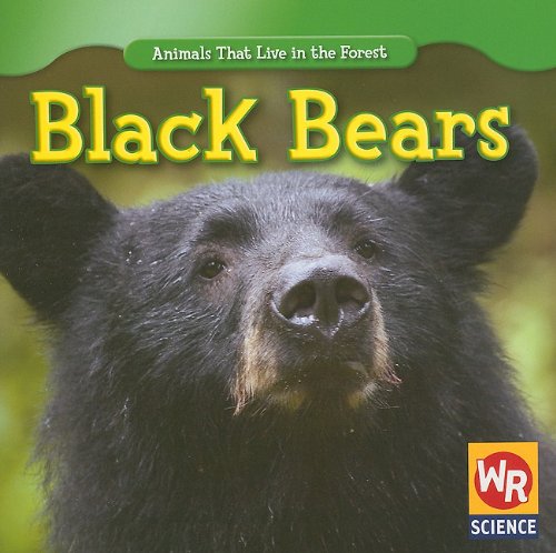 Black Bears (Animals That Live in the Forest): Macken, Joann Early ...