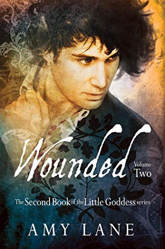 Wounded, Vol. 2 (Little Goddess) by Amy Lane