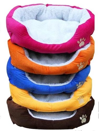 orange cat bed