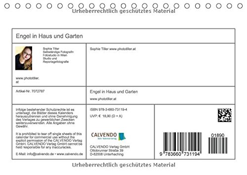 Engel In Haus Und Garten Author Tiller Sophie 9783660731194 Amazon Com Books