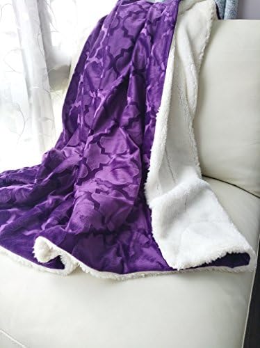 Ashviee Luxurious Microplush Fuzzy Throw Blankets Super Warm Sherpa Reversible For Couch 50x60 inch