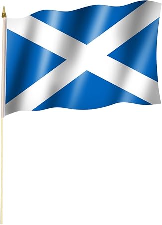 Sportfanshop24 Stockflagge Stockfahne Schottland Flagge Fahne Ca 30 X 45 Cm Mit Ca 60cm Stab Stock Amazon De Auto