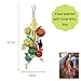 kathson Bird Toys,Parrot Hanging Colorful Toy,Rattan Balls Chewing Toys Suitable for Small and Medium Pet Birds Like Parakeet,Conure,Lovebirds,Finches(2 Pack)thumb 2