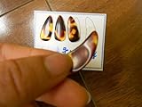 High Quality L+R Guzheng Finger Picks with Grooves, Gu Zheng Nails Size Medium