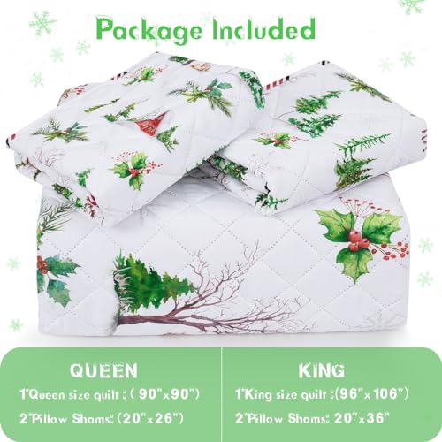FRAMICS 3 PIECE CHRISTMAS REVERSIBLE QUILT SET QUEEN SIZE, RED PLAID LIGHTWEIGHT COMFORTER SET, GREEN WATERCOLOR PINE TREE REINDEER SNOWHOUSE CHRISTMAS QUILT, 90″ X 90″, 1 QUILT+2 PILLOW SHAMS