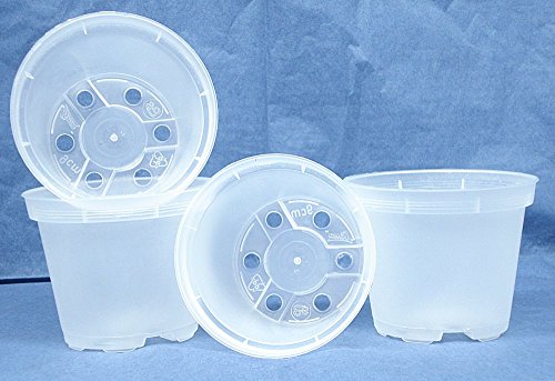 Sima Clear Plastic Pot for Orchids 3 1/2" Diameter - Made in Germany - Quantity of 4