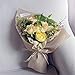 Tosnail 500 Grams Natural Raffia Bundle Raffia Paper Ribbon, 10 Bundles - Great for Gift Wrapping, Florist Bouquests, Crafts