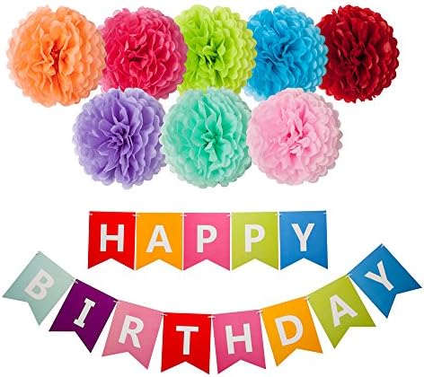 Happy Birthday Decorations Banner with 8 Tissue Paper Pom Pom Colorful Rainbow