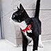 Didog Pretty Breakaway Cat Collars with Fish Shaped ID Tags,Bow-Tie Cat Collar Charms for Kitten Small Dogs,Red