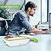 YOHOOLYO Electric Lunch Box Food Heater Portable Food Warmer 110V Home Use with Removable Stainless Steel Container Food Grade Material