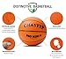 Chastep Pro Mini Basketball, 6 Inch Foam Toy Ball. Soft and Bouncy, Non-Toxic, Safe to Play