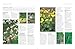 Designing and Creating a Cottage Garden: How to cultivate a garden full of flowers, herbs, trees, fruit, vegetables and livestock, with 300 inspirational photographs