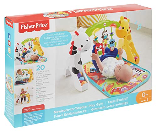 5 Fisher+Price+CCB70+Newborn+to+Toddler+Play+Gym
