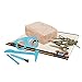 Geoworld Paleo Expedition Flying Monsters Excavation Kit-Pteranodon