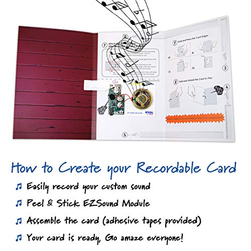 Recordable Card | Love and Romance | Customize with Song, Talking Message, Photo, Text | 120 Seconds Recording | Audio Valentines Day Card, Fathers and Mothers Day Card, Create Special Greeting Card