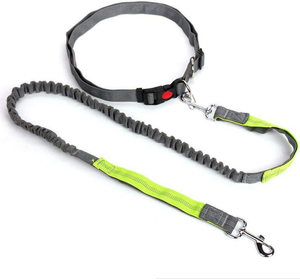 Hands Free Dog Walking Belt, Pet Dog Leash with Reflective Strip and