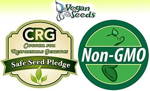 Veganseeds Culinary Herb Set - 13 Packets of Seeds -Culinary Sage, Rosemary , Oregano, Italian Parsley, Cilantro, Thyme, Dill Bouquet, Mustard, Chives, Marjoram, Summer Savory Spearmint & Sweet Basil