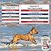 Stratford Pharmaceuticals CadaFlex Soft Chews with MSM - Glucosamine for Dogs - All-Natural Hip & Joint Pain Relief -Glucosamine Chondroitin Dogs Treats - Large Dogs - 150 Soft Chews