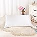 ALASKA BEAR Silk Pillowcase for Hair and Skin, Grade 6A 100% Mulberry Silk Pillow Cases King Size for Bliss Sleep with Random Color Scrunchy Set Better Than Poly Satin, 1pc, Natural Ivory White