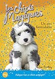 Un Ami Formidable (Magic Puppy) (French Edition) by