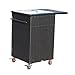 Outsunny 35” Rolling Rattan Wicker Outdoor Kitchen Trolley Cart - Deep Coffee
