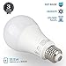 TORCHSTAR 100W Equivalent 15.5W Dimmable LED A21 Bulb, 1600Lm, 2700K Soft White, E26 Medium Base, Omnidirectional, Pack of 2