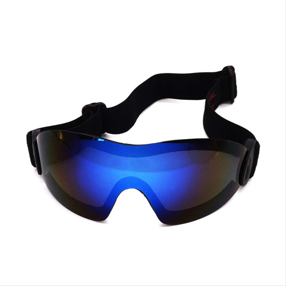 Occhiali Occhiali da sci Uomo Donna 2 Lenti UV400 Sci antiappannamento