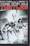 Teenage Mutant Ninja Turtles Vol.1 #17