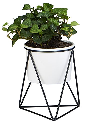 Planter Pot Indoor, Flowerplus 4.33 Inch White Ceramic Medium Succulent Cactus Flower Plant Round Bowl with Iron Rack Holder and Plants Sign for Indoors Outdoor Home Garden Kitchen Decor (Black)