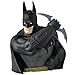 Batman: Arkham Asylum 8