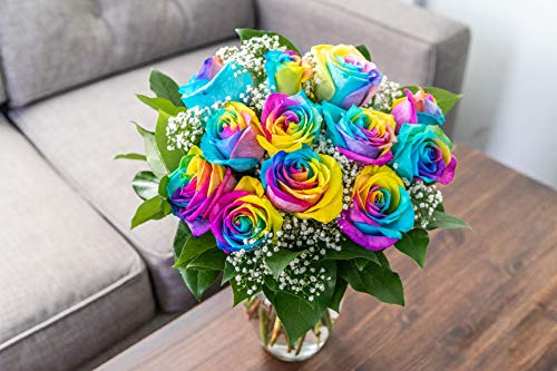 5 Flowers+Dozen+Wild+Rainbow+Roses
