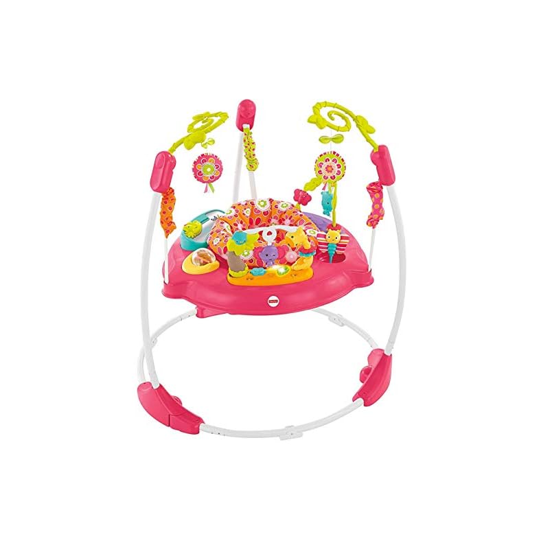 Fisher-Price Baby Bouncer Pink Petals Jumperoo Activity Center with Music Lights Sounds and Developmental Toys