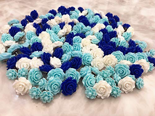 24Pcs Decorative Pushpins,Cork Board Tacks,Bulletin Board Tacks,Thumb Tack Decorative for CorkBoard, Office Organization or Home (Blue)
