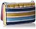 Baggallini RFID flap wristlet HANDBAG, Tropical Stripe