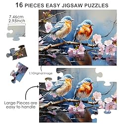 Neoflavie 6 Pack16&35 Dementia Puzzles for