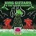 King Gizzard & The Lizard Wizard - Im in Your Mind Fuzz