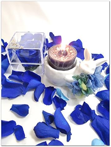 Amazon Co Jp アロマキャンドルの灯りと一輪の美しい輝きをまとった青い薔薇に込めたウサギさんの贈り物 ラッピング付き ホーム キッチン