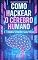 Livro eBook Como Hackear o Cérebro Humano e Transformar Sua Vida