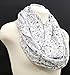 Di Capanni Science Scarf for women chemistry biology scientist for her geeky Black and White infinity scarf
