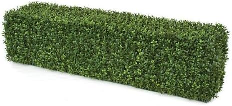 Autograph Foliages AUV-123200 48 x 12 x 12 in. Boxwood Hedge - Green