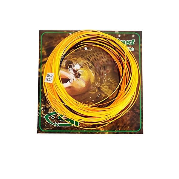 SF-Fly-Line-Fly-Fishing-Line-Weight-Forward-Floating-Line-100-FT-WF-1-2-3-4-5-6-7-8-9-wt-F
