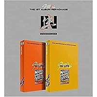 Stray Kids IN生 アルバム サイン入り アイエン STRAY KIDS [IN生/IN LIFE] 1st Repackage Album LIMITED EDITION 1ea