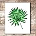 Tropical Leaves Wall Decor Art Prints - Botanical Prints Wall Art (Set of 6) - Unframed 8x10s | Flower Wall Décor | Kitchen Wall Décor | Vintage Wall Décor | Aesthetic Wall Décor | Living Room Décor