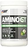 GAT Amino Gt Supplement, Topical Lime Mojito, 390 Gram