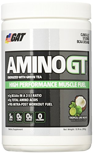 GAT Amino Gt Supplement, Topical Lime Mojito, 390 Gram GAT Amino Gt Supplement, Topical Lime Mojito, 390 Gram